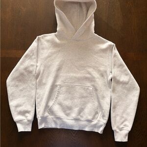 Aritzia Hoodie